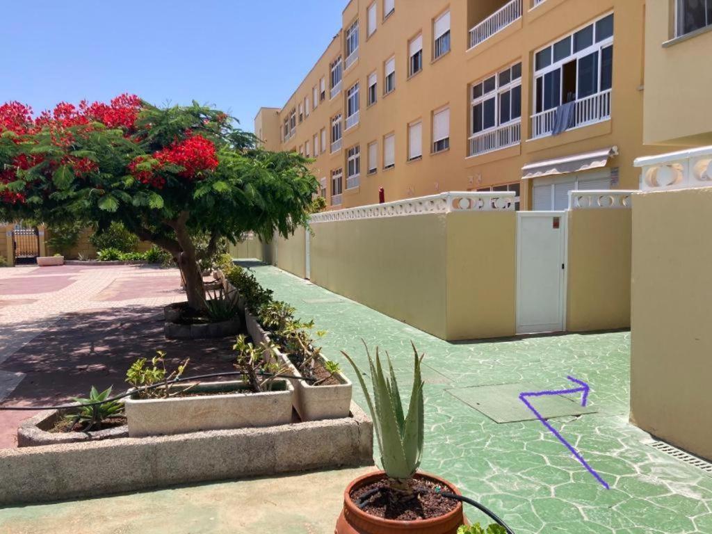 Apartamento Lolo El Médano Eksteriør billede